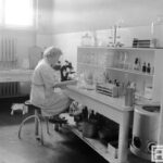 Fotografia przedstawia kobietę siedzącą przy mikroskopie. Dookoła widoczne wyposażenie laboratorium: waga, butle szklane i próbówki, miska nerka.