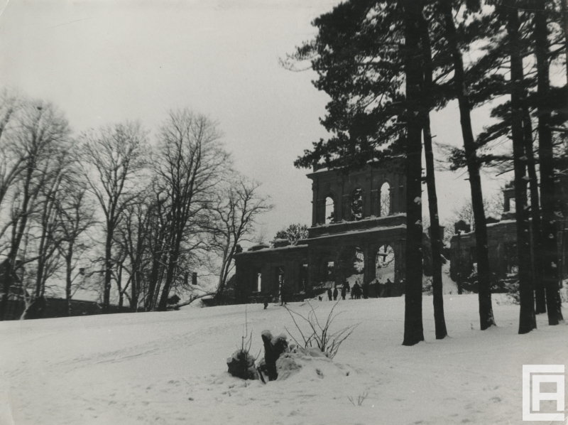 Fotografia przedstawia ruiny barokowo-klasycystycznego pałacu w zimie. Widoczne sylwetki psa, ludzi na nartach, spacerujących koło budynku.