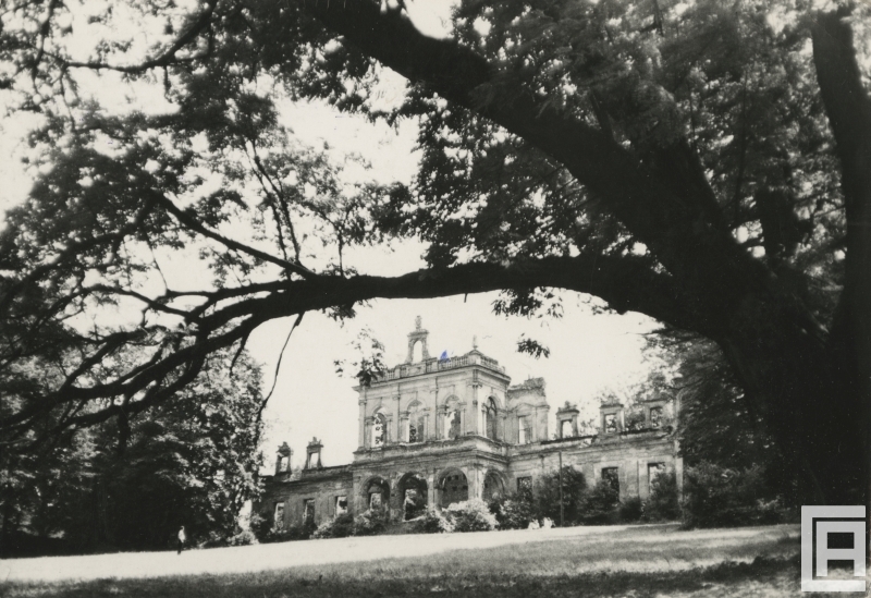 Fotografia przedstawia ruiny barokowo-klasycystycznego pałacu wśród drzew.