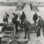 Fotografia przedstawia grupę młodzieży z łopatami i taczkami, która przygotowuje wgłębienia na sadzone drzewka.