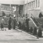 Fotografia przedstawia grupę osób patrzących na rząd posadzonych drzewek. Z tyłu widoczny autobus.