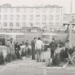 Fotografia przedstawia grupę osób, które sadzą tuje. W tle widoczne autobusy na placu postojowym.