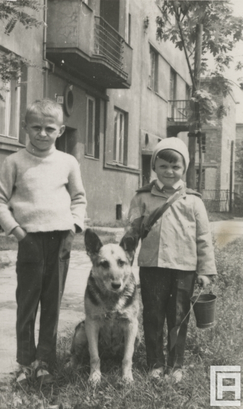 Fotografia przedstawia dwóch chłopców. Między nimi siedzi pies. W tle widoczny budynek.